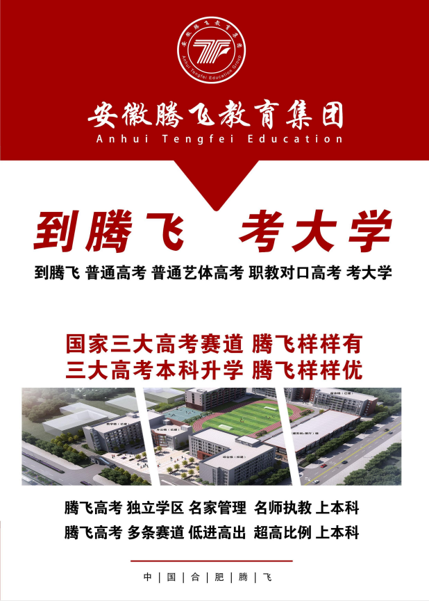 2025年合肥騰飛學校藝術類升學率專項提升方案：破解文化課短板，直擊本科-圖1