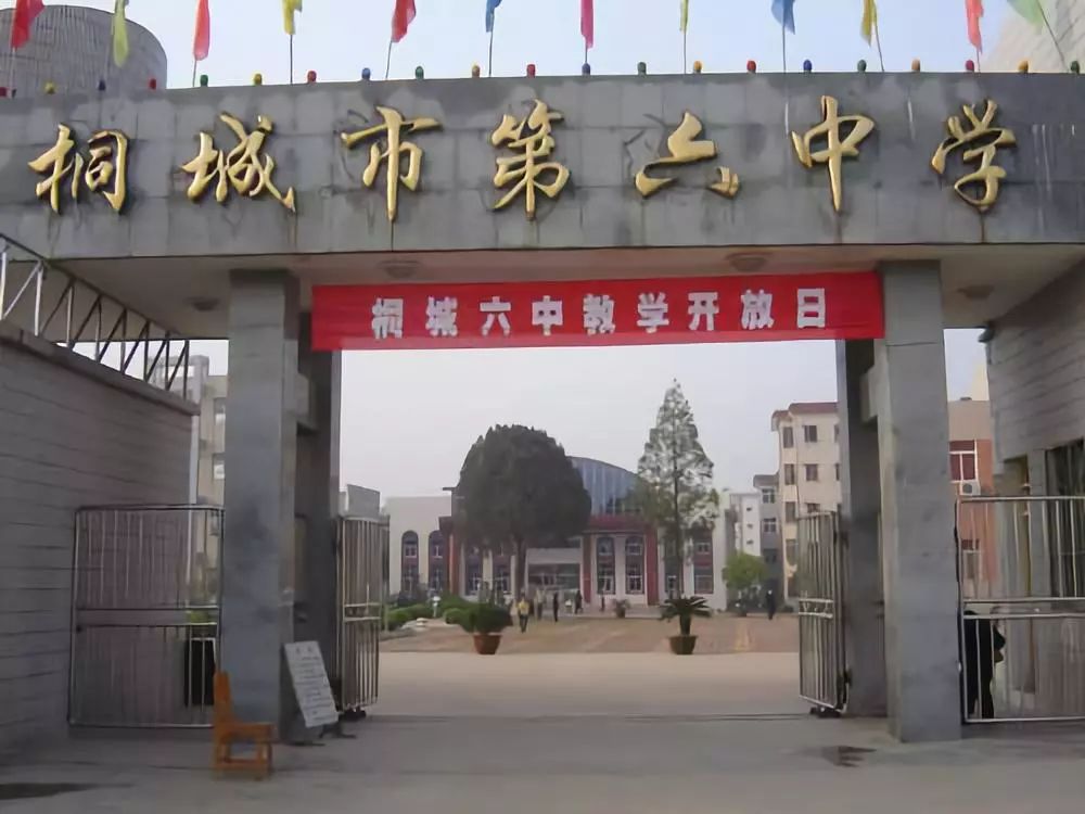 官方發布｜2025年合肥中考后升學新選擇：桐城六中綜合高中部開啟本科通道-圖1