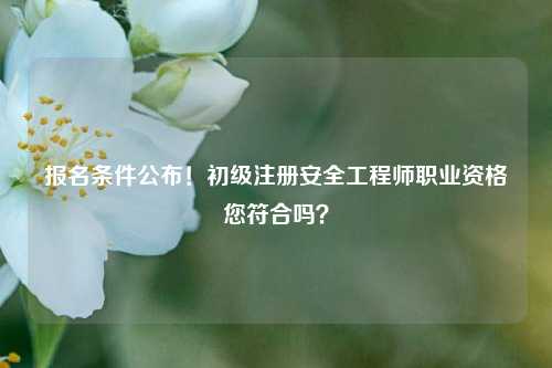 報名條件公布！初級注冊安全工程師職業資格您符合嗎？-圖1