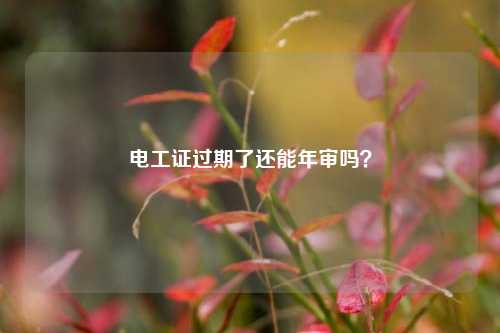 電工證過(guò)期了還能年審嗎？-圖1