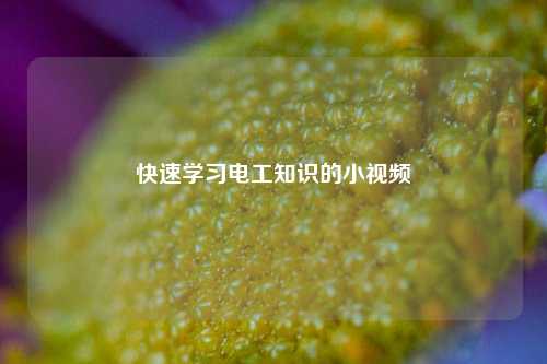 快速學(xué)習(xí)電工知識的小視頻-圖1