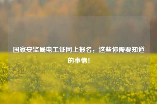 國(guó)家安監(jiān)局電工證網(wǎng)上報(bào)名，這些你需要知道的事情！-圖1