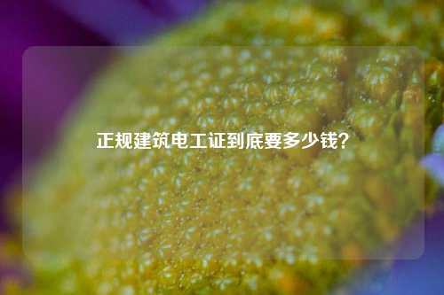 正規(guī)建筑電工證到底要多少錢？-圖1