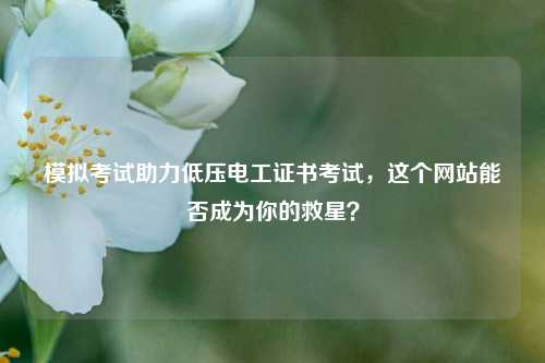 模擬考試助力低壓電工證書考試，這個網站能否成為你的救星？-圖1
