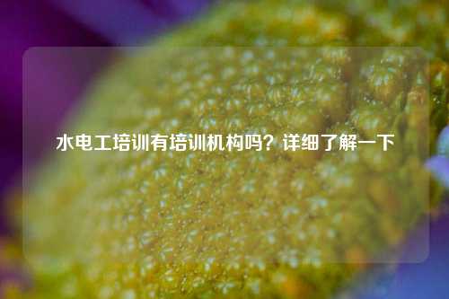 水電工培訓(xùn)有培訓(xùn)機(jī)構(gòu)嗎？詳細(xì)了解一下-圖1