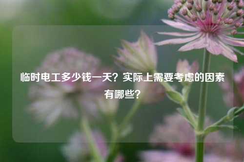 臨時電工多少錢一天？實際上需要考慮的因素有哪些？-圖1
