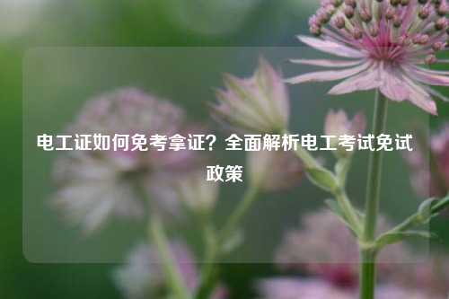 電工證如何免考拿證？全面解析電工考試免試政策-圖1