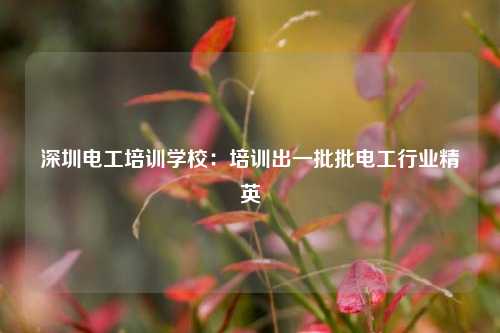 深圳電工培訓學校：培訓出一批批電工行業精英-圖1