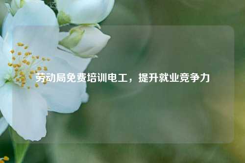 勞動(dòng)局免費(fèi)培訓(xùn)電工，提升就業(yè)競爭力-圖1
