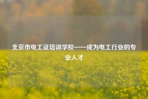 北京市電工證培訓學校——成為電工行業(yè)的專業(yè)人才-圖1