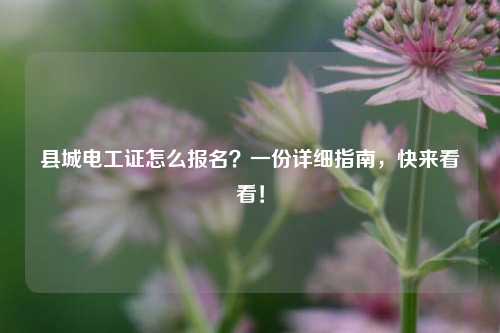 縣城電工證怎么報名？一份詳細指南，快來看看！-圖1