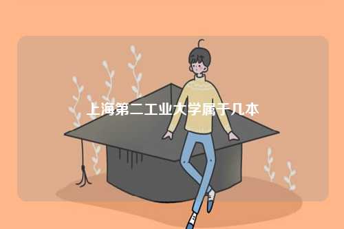上海第二工業(yè)大學(xué)屬于幾本-圖1