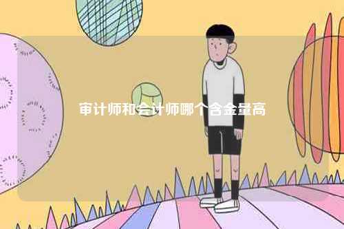 審計(jì)師和會(huì)計(jì)師哪個(gè)含金量高-圖1