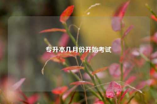 距離2025專(zhuān)升本還有多少時(shí)間-圖1
