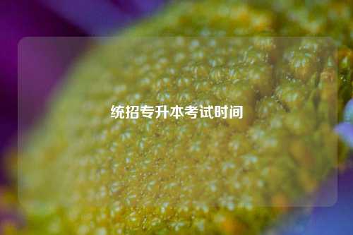 統(tǒng)招專升本考試時(shí)間 幾月份報(bào)名-圖1
